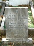 image of grave number 50296